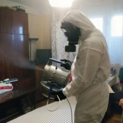 Дезинфекция от клопов в Каменногорске