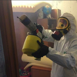 Уничтожение клопов в квартире. Каменногорск